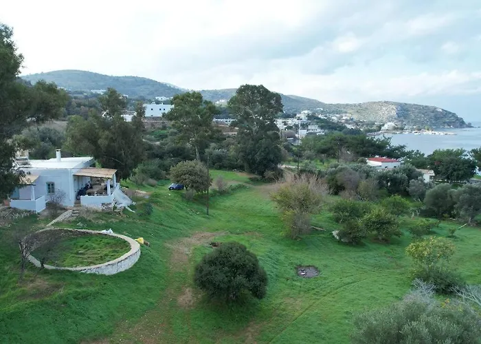 فيلة Annas Katikia