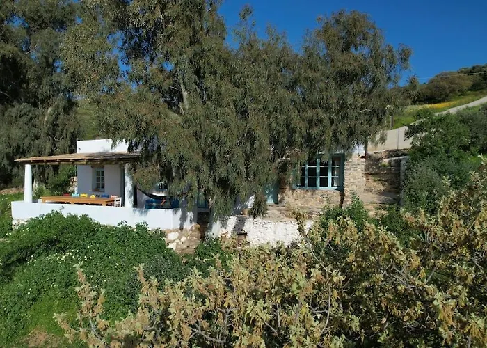 فيلة Annas Katikia *