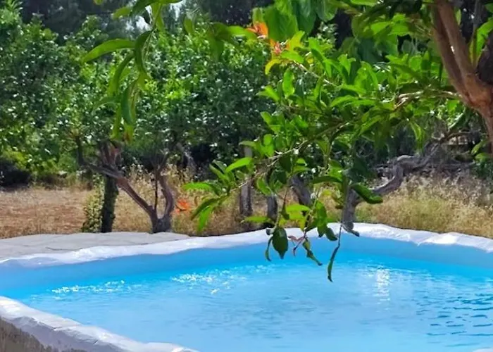 Annas Katikia فيلة