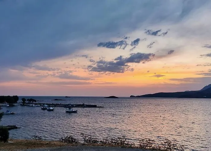 فيلة Annas Katikia *