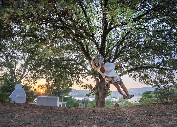 Annas Katikia * Drymonas